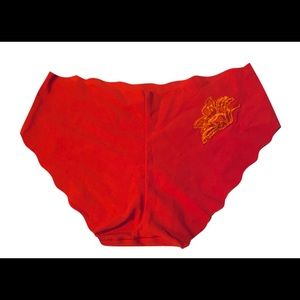 🆕 Victoria’s Secret L Embroidered Panties